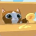 猫箱模拟器游戏官方版  V1.0.0