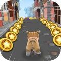 猫咪跑酷飞行冒险游戏官方版  V1.0