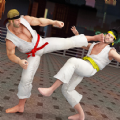 散打武术模拟游戏官方安卓版  V1.0
