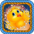 微笑鸡仔逃生游戏官方版  V0.1
