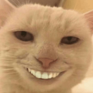 崩锅直播高清免费版 V2.1.0