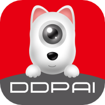 盯盯拍mini app V官方安卓版V8.1.3.0807