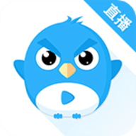 小鹰直播电视TV版 V3.5.0
