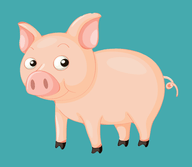 小猪电视大全app V6.2.0