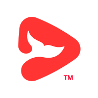 锦书在线手机版 V2.32.42.10009