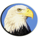 数学之翼手机版 V2.9.0