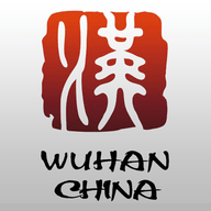 武汉市社会保险公共服务 V1.9.9.13