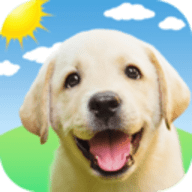 狗狗语翻译器 V1.2.2