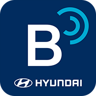 bluelink免费版 V3.06