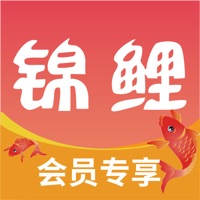 锦鲤会员app V1.0.0官方版