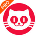 猫眼专业版实时票房app V8.2.1最新版