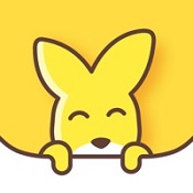 口袋故事app下载安装 V11.53.1 安卓版