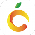 洛橙外教 V 4.2.3