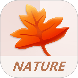 南琼考试学习2023 V 3.3.3