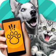 pet translator V1.1