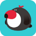 犀鸟公考 V 5.5.1