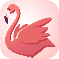 火烈鸟快讯 V1.0.0