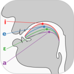 英语国际音标学习 V1.3.7