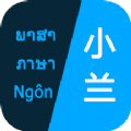 小兰翻译 V 1.2.4