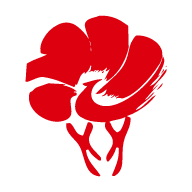 放新办app V1.1.6官方版