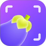 茄子水印相机 V1.9.7.0
