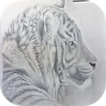 素描绘画大师 V1.1 安卓版