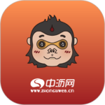 中沥网 V4.7.10