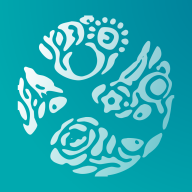 义境app官方版 V1.2.0安卓版