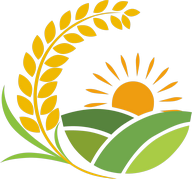 光泰科技专业版app V1.0.1