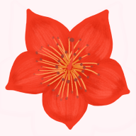 爱我崇左app V2.2.4 最新版