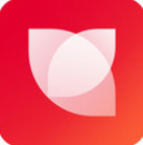 花瓣网免费素材图库app V4.6.15安卓版
