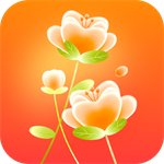 花令壁纸最新版 V1.0.0