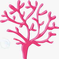 珊瑚壁纸最新版 V1.1