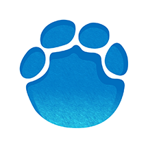 大象新闻最新版本 V2.5.6 安卓版