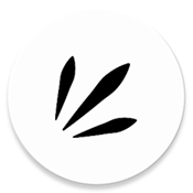 Rays2025最新版 V2.2