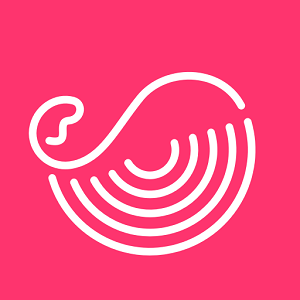 灰豚数据app V3.2.1 最新版