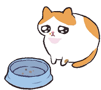 QTool模块脚本 V838