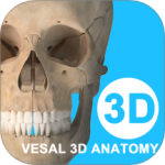 维萨里3D解剖 V6.8.0