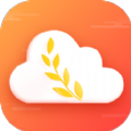 麦穗天气预报 V1.0.0