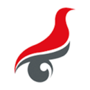 学信网APP  V2.5.4.1