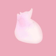 生命LIFE 2025正版 V1.0