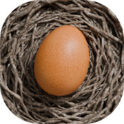 蛋之旅 官网版 V1.2