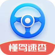 懂驾速查2025官方版  V1.0.3.2