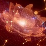 河图导航 V1.0.31