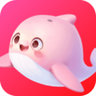 拍拍鲸置 V1.4.7