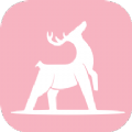 小鹿慢行app V1.0.1