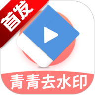 青青去水印 V1.3