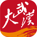 大武汉app V7.6.4