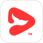 锦书在线 V2.32.50.10015