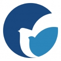 MedPeer V3.9.250618